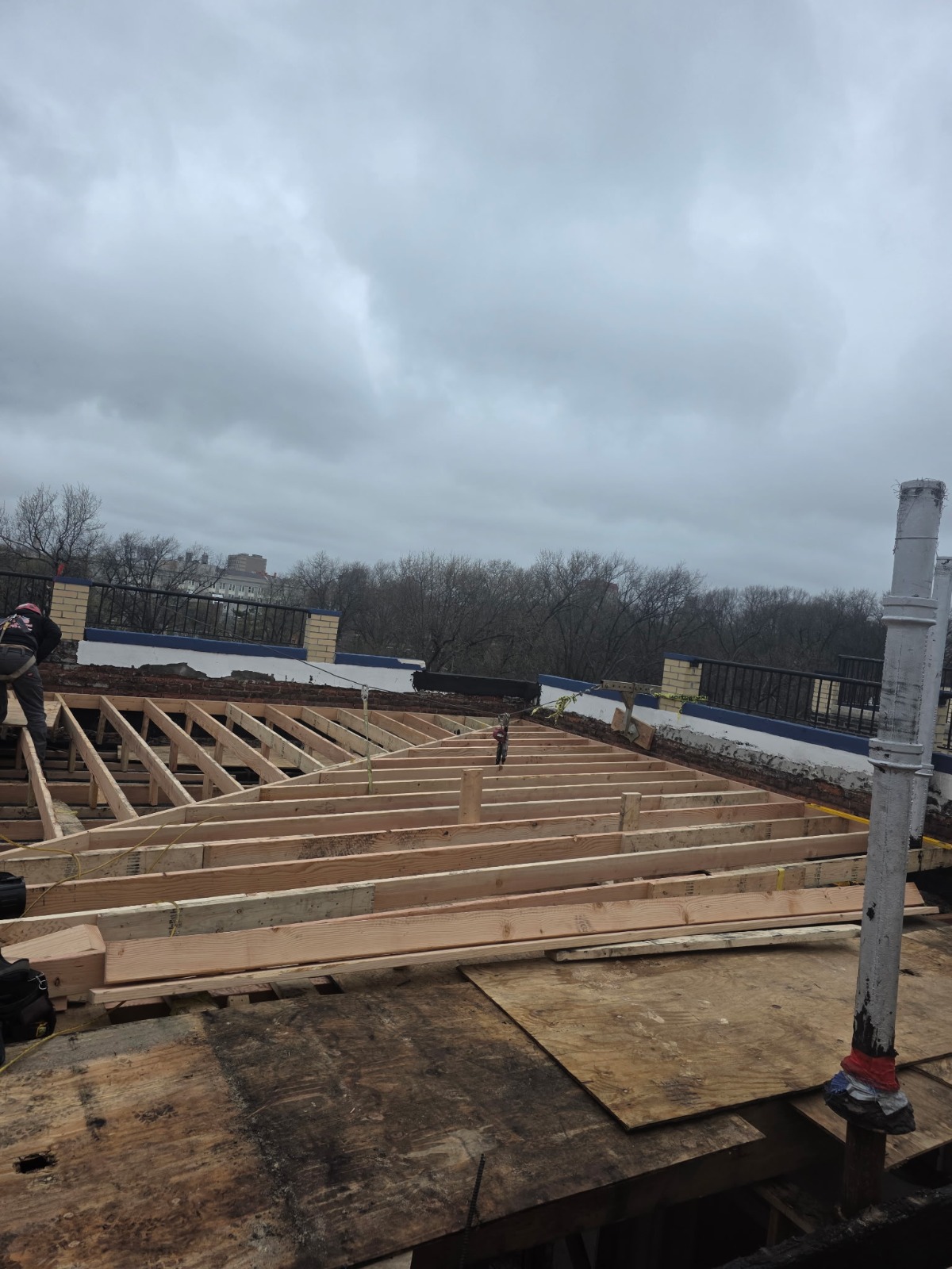 Replacement roof framing layout prepared for sheathing